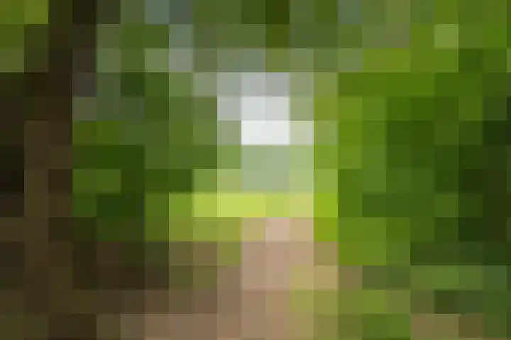 Landschaplaan 107 Emmen thumbnail 22