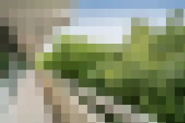 Landschaplaan 107 Emmen thumbnail 6