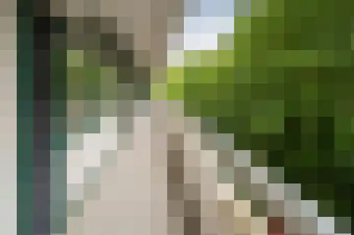 Landschaplaan 107 Emmen thumbnail 7