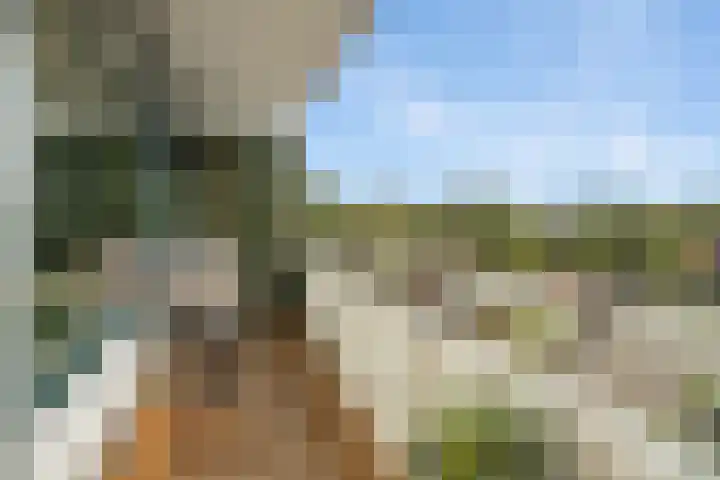 Landschaplaan 109 Emmen thumbnail 18
