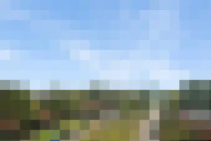 Landschaplaan 109 Emmen thumbnail 19