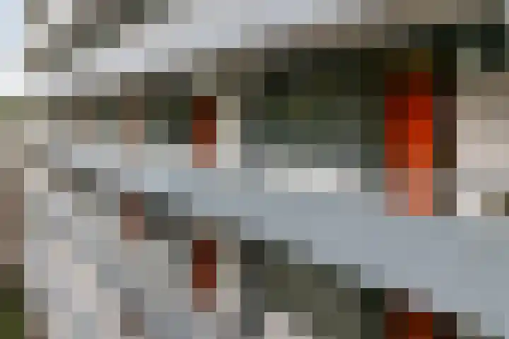 Landschaplaan 109 Emmen thumbnail 32