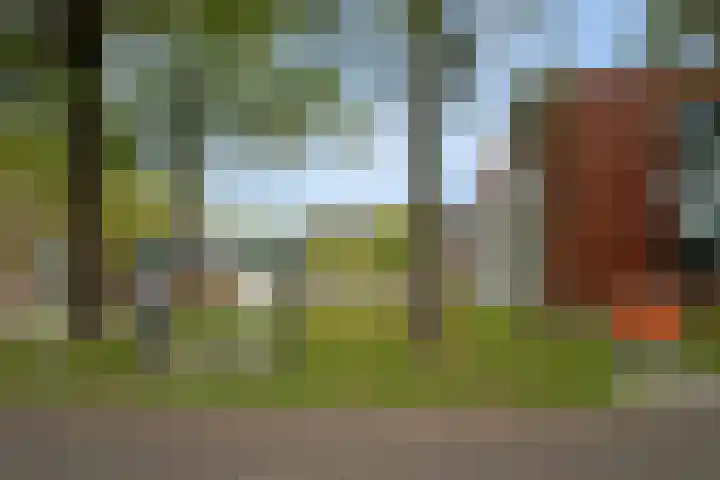 Landschaplaan 109 Emmen thumbnail 35