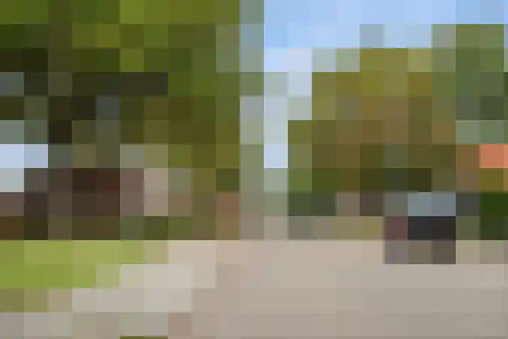 Landschaplaan 109 Emmen thumbnail 36