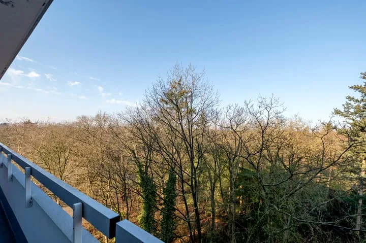 Landschaplaan 123 Emmen thumbnail 24