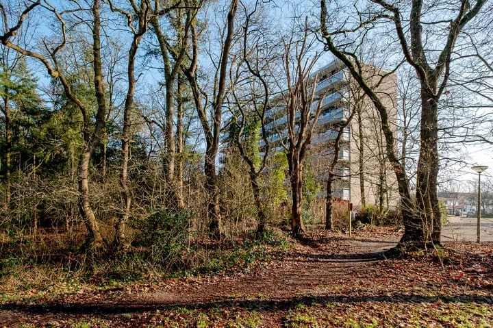 Landschaplaan 123 Emmen thumbnail 32