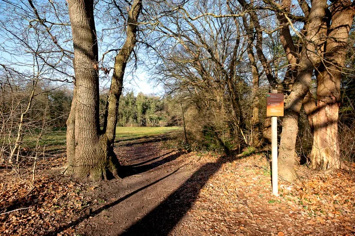 Landschaplaan 123 Emmen thumbnail 34