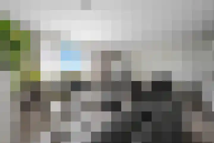 Landschaplaan 129 Emmen thumbnail 11