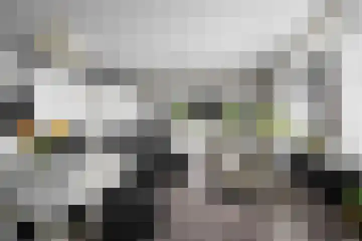 Landschaplaan 129 Emmen thumbnail 16