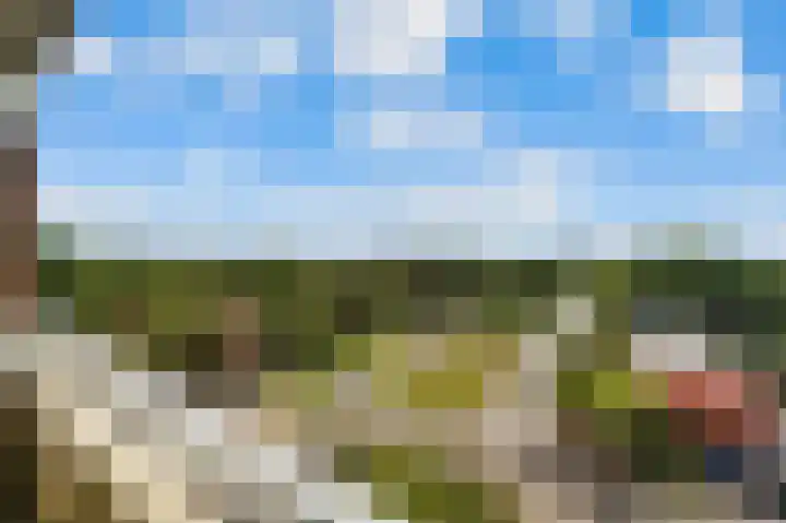Landschaplaan 129 Emmen thumbnail 24