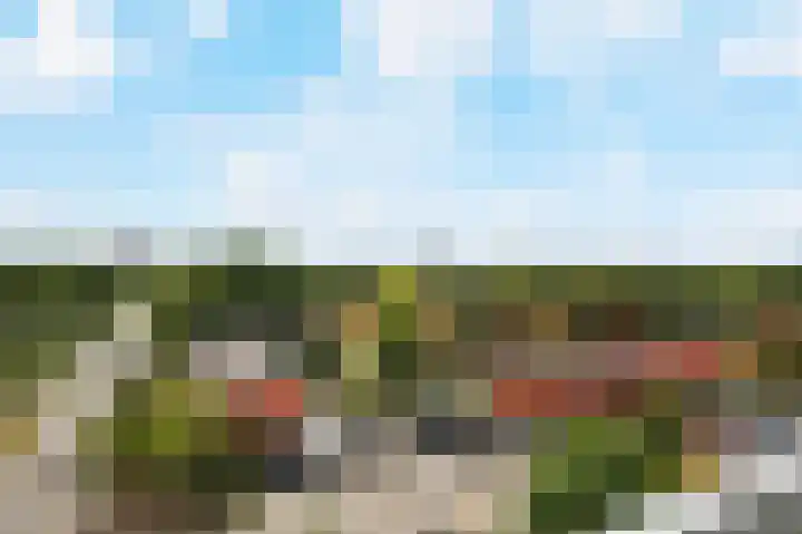 Landschaplaan 129 Emmen thumbnail 25