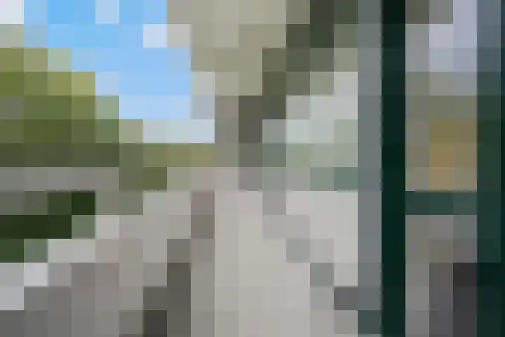 Landschaplaan 129 Emmen thumbnail 26