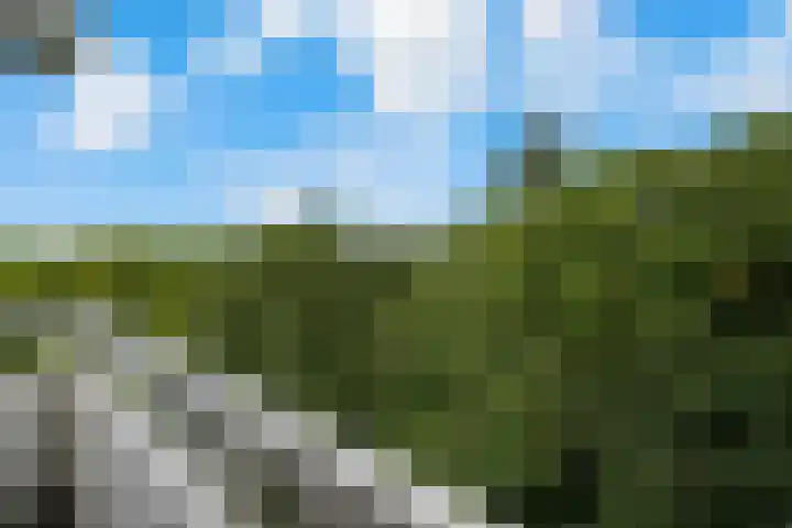 Landschaplaan 129 Emmen thumbnail 27