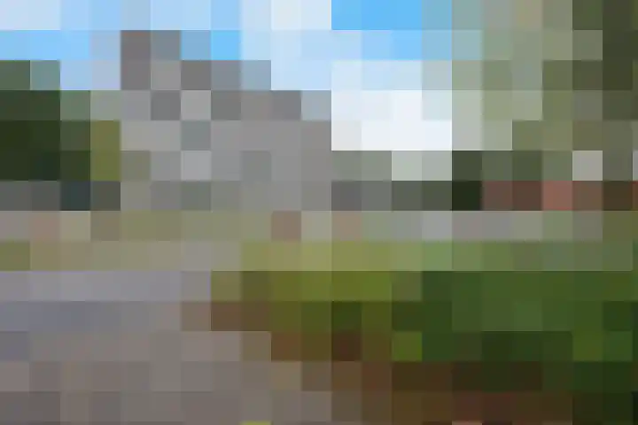 Landschaplaan 129 Emmen thumbnail 35