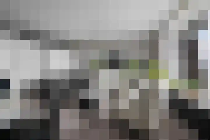 Landschaplaan 129 Emmen thumbnail 6