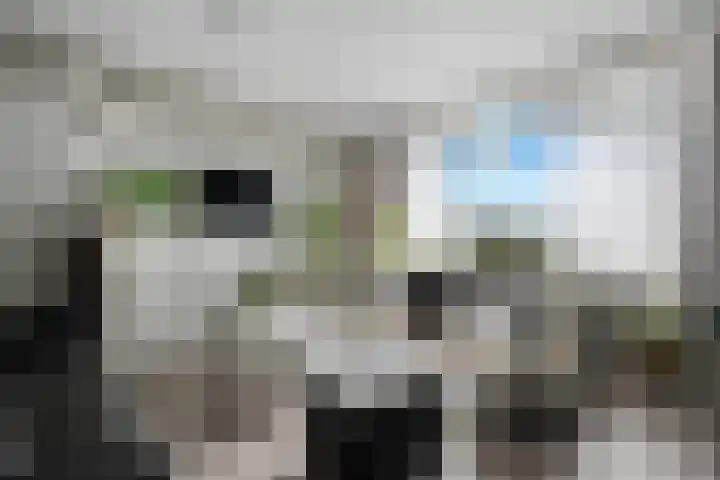 Landschaplaan 129 Emmen thumbnail 8