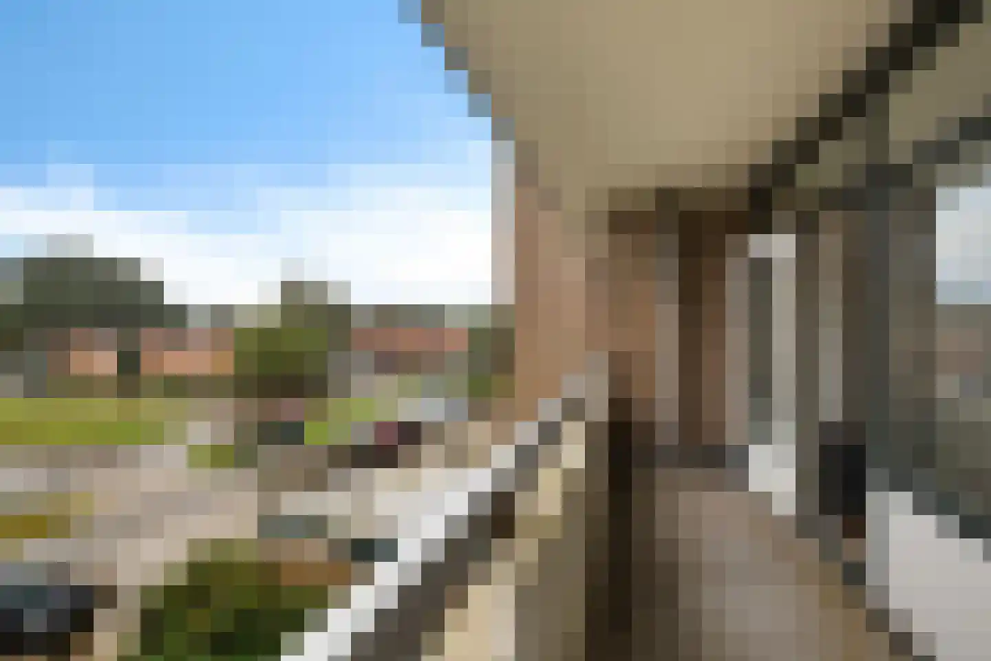 Landschaplaan 155 Emmen thumbnail 13