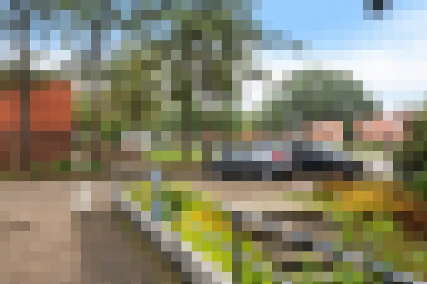 Landschaplaan 155 Emmen thumbnail 35