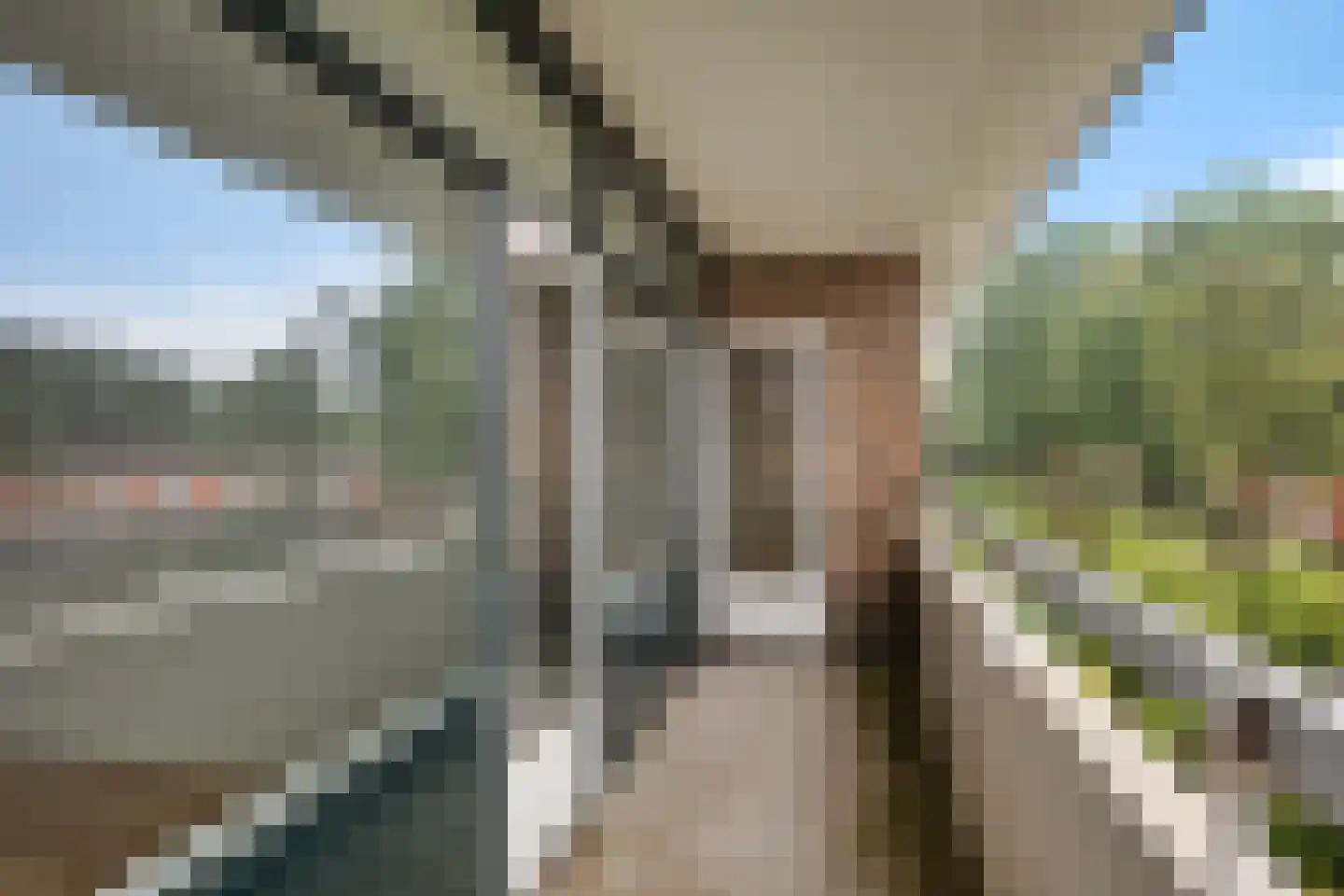 Landschaplaan 155 Emmen thumbnail 4