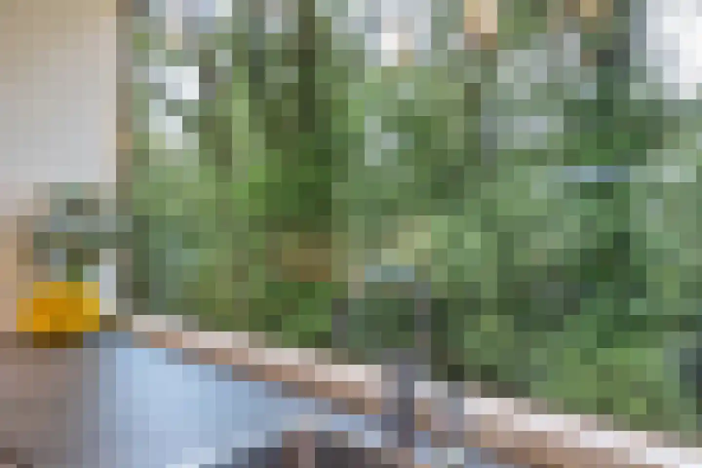 Landschaplaan 181 Emmen thumbnail 10