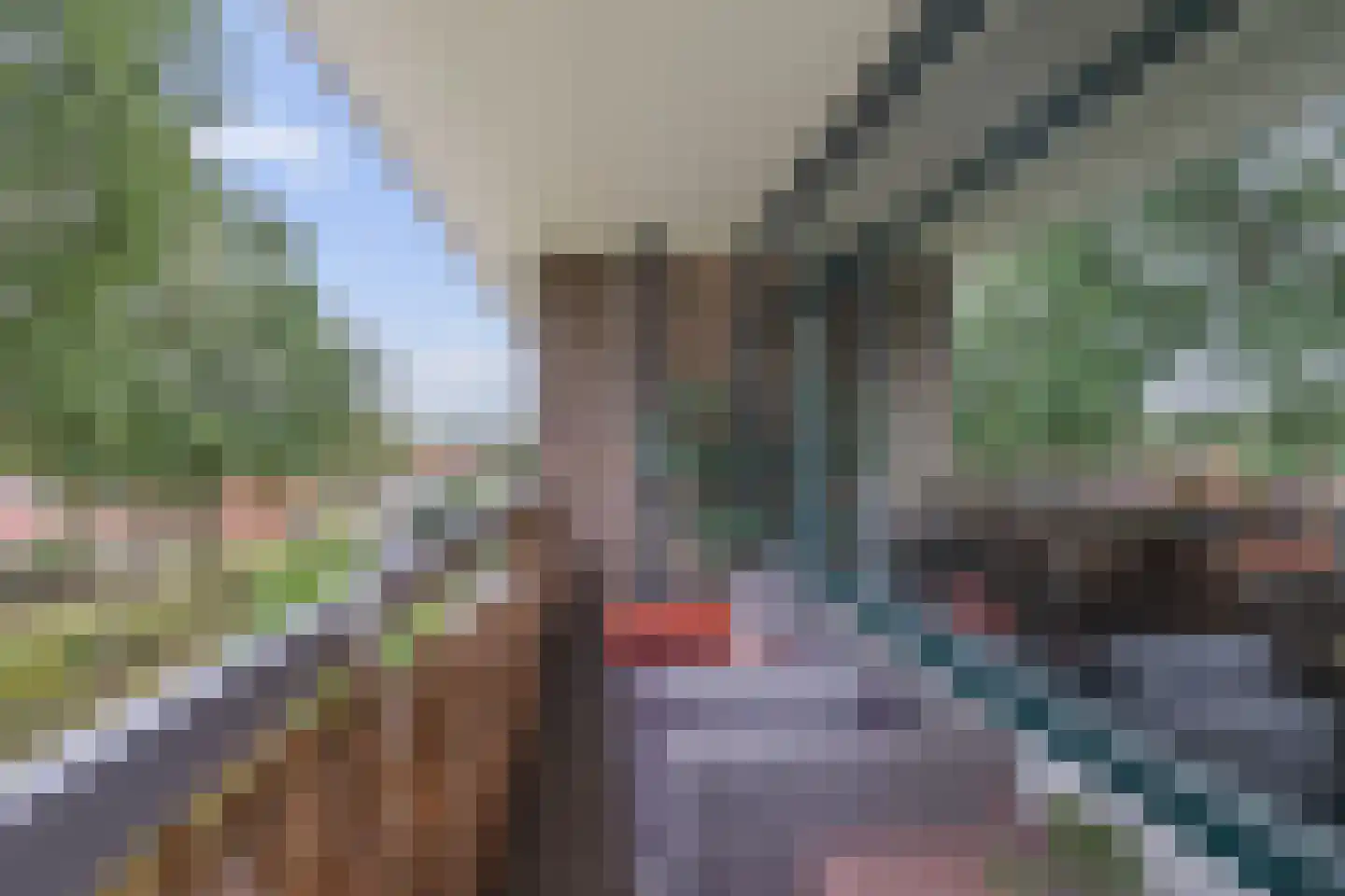 Landschaplaan 181 Emmen thumbnail 23