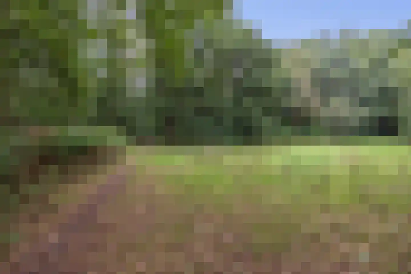 Landschaplaan 181 Emmen thumbnail 31