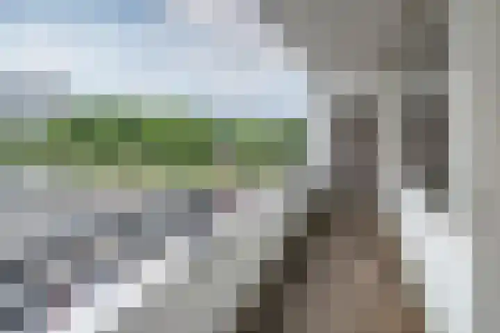 Landschaplaan 20 Emmen thumbnail 9