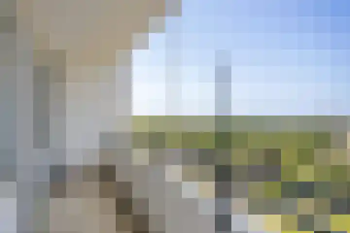 Landschaplaan 40 A Emmen thumbnail 16