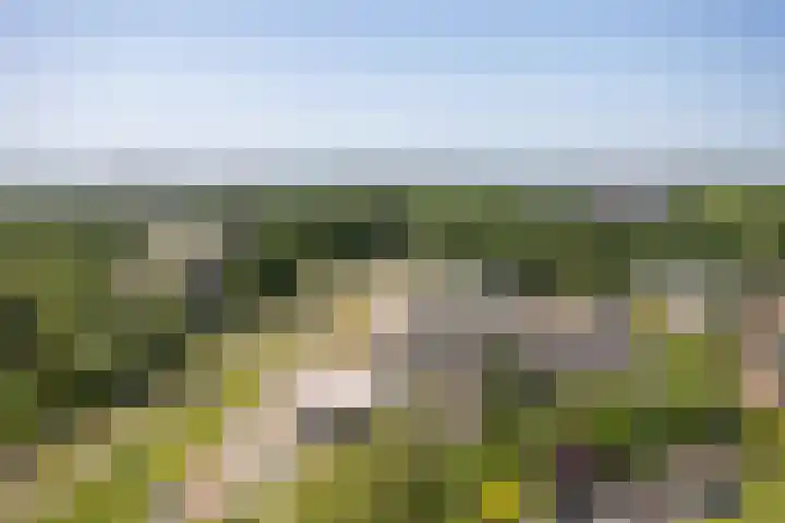 Landschaplaan 40 A Emmen thumbnail 18