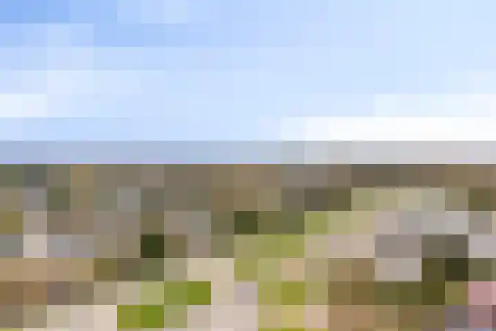 Landschaplaan 40 Emmen thumbnail 29