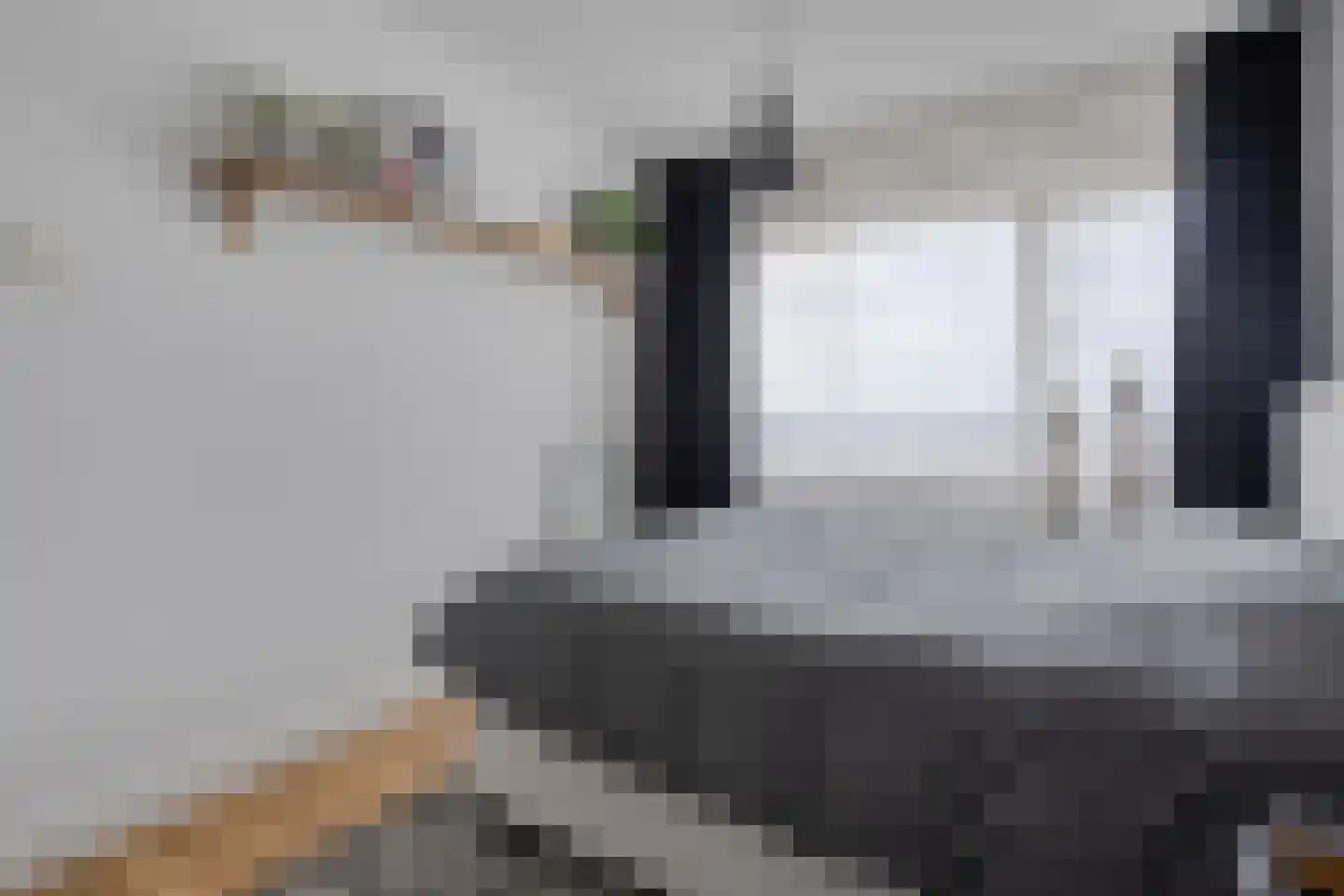Landschaplaan 40 Emmen thumbnail 30