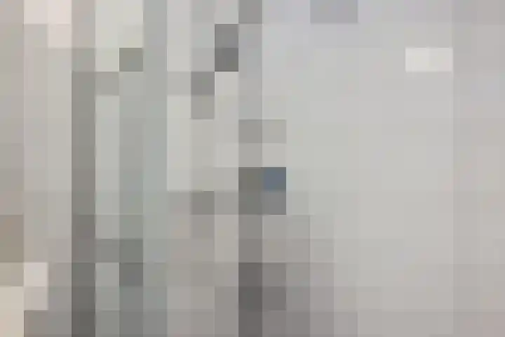 Landschaplaan 8 Emmen thumbnail 17
