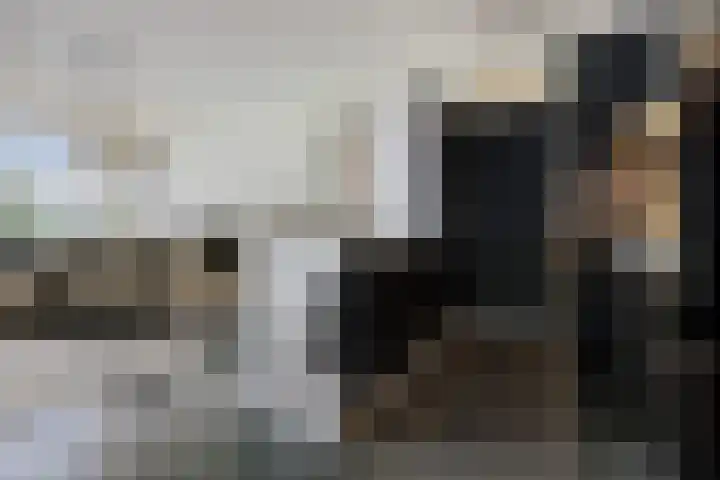 Landschaplaan 8 Emmen thumbnail 27