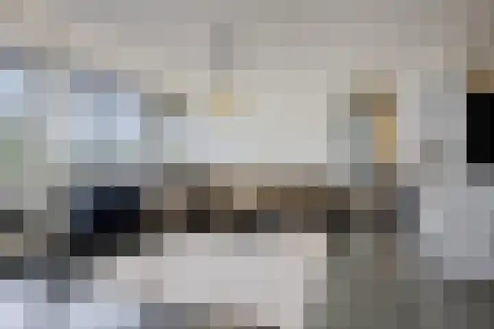 Landschaplaan 8 Emmen thumbnail 32
