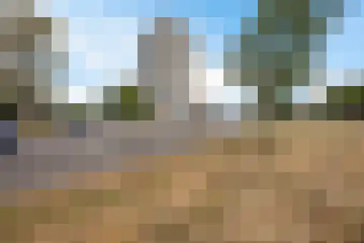Landschaplaan 8 Emmen thumbnail 4