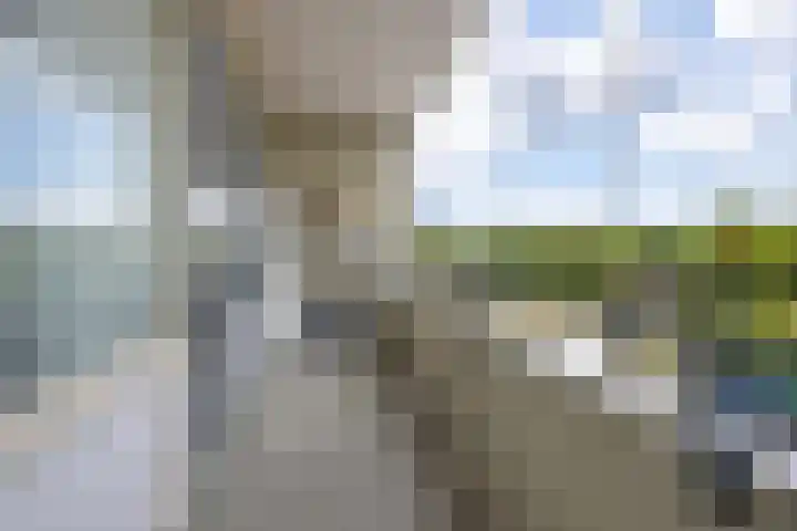 Landschaplaan 8 Emmen thumbnail 44