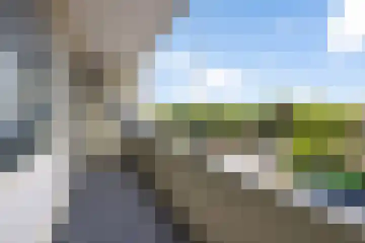 Landschaplaan 8 Emmen thumbnail 45