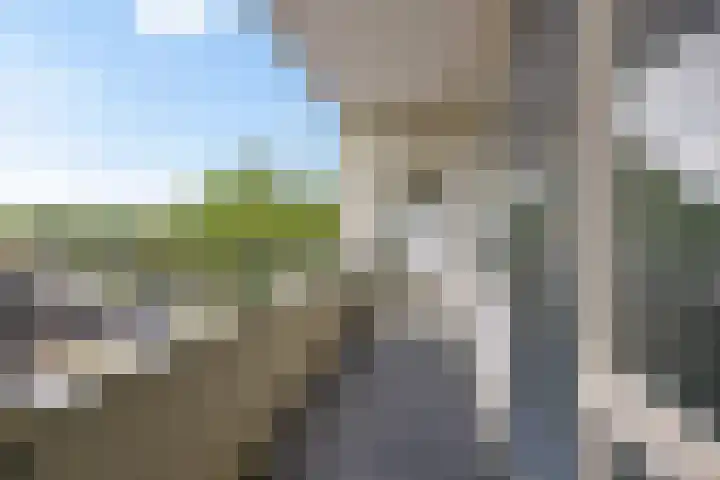 Landschaplaan 8 Emmen thumbnail 46