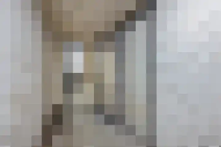 Landschaplaan 8 Emmen thumbnail 8