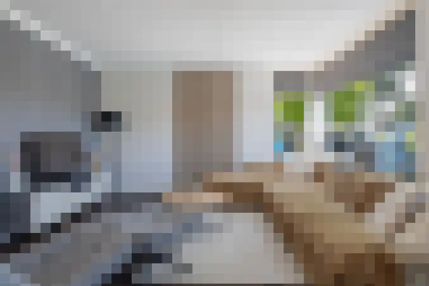 Landschapsweg 13 Veenoord thumbnail 18