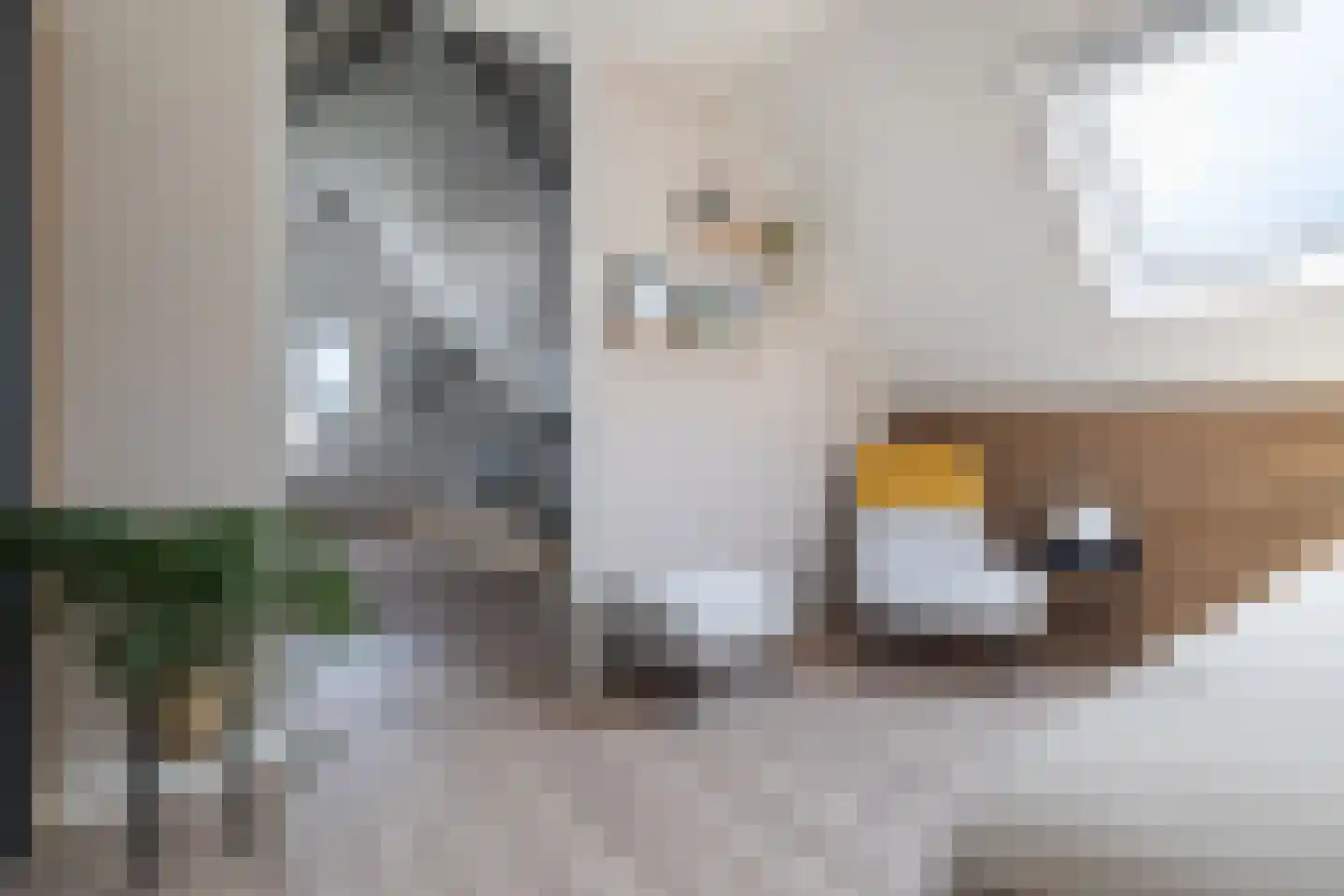Landschapsweg 13 Veenoord thumbnail 35