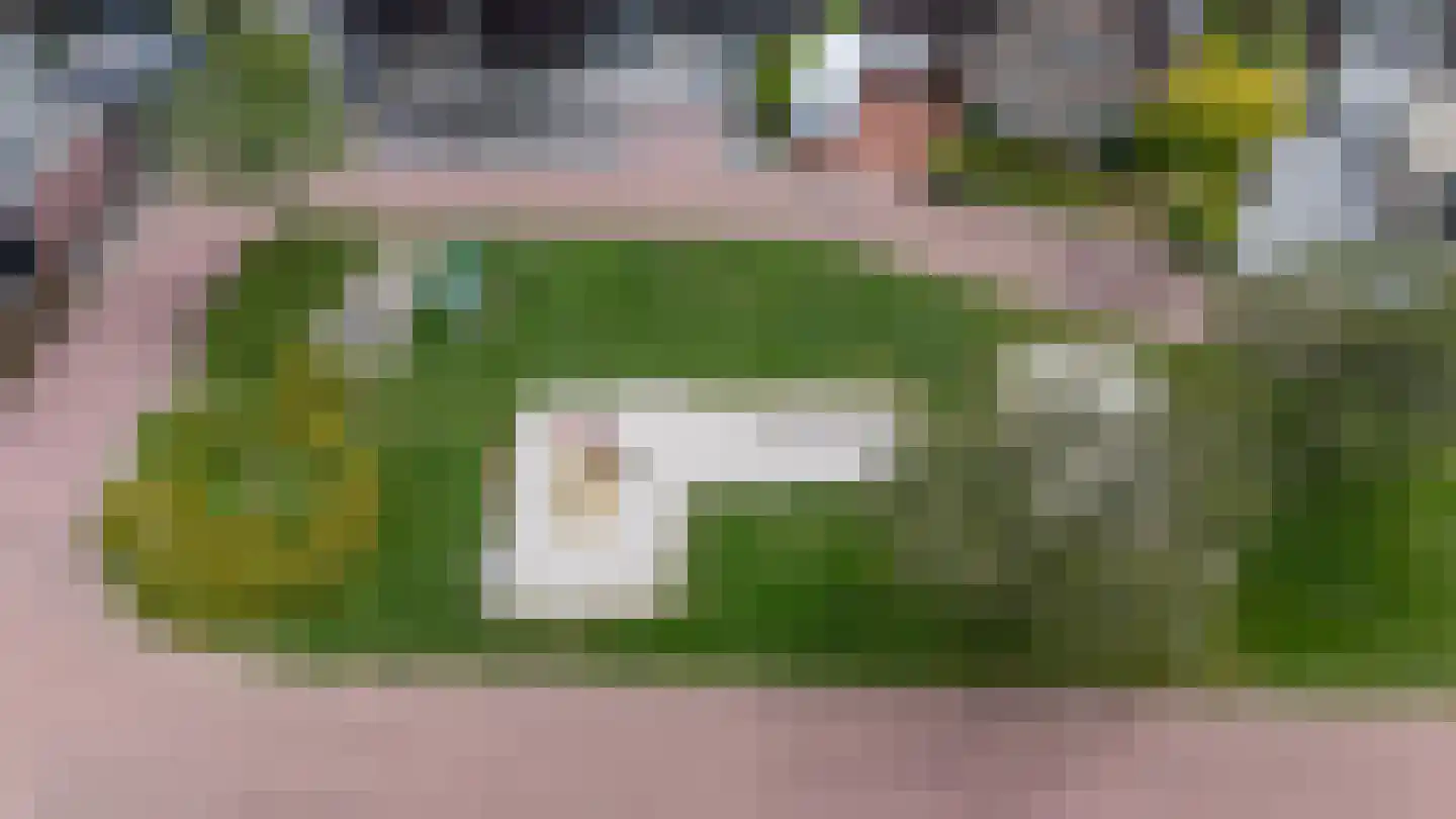 Landschapsweg 13 Veenoord thumbnail 38