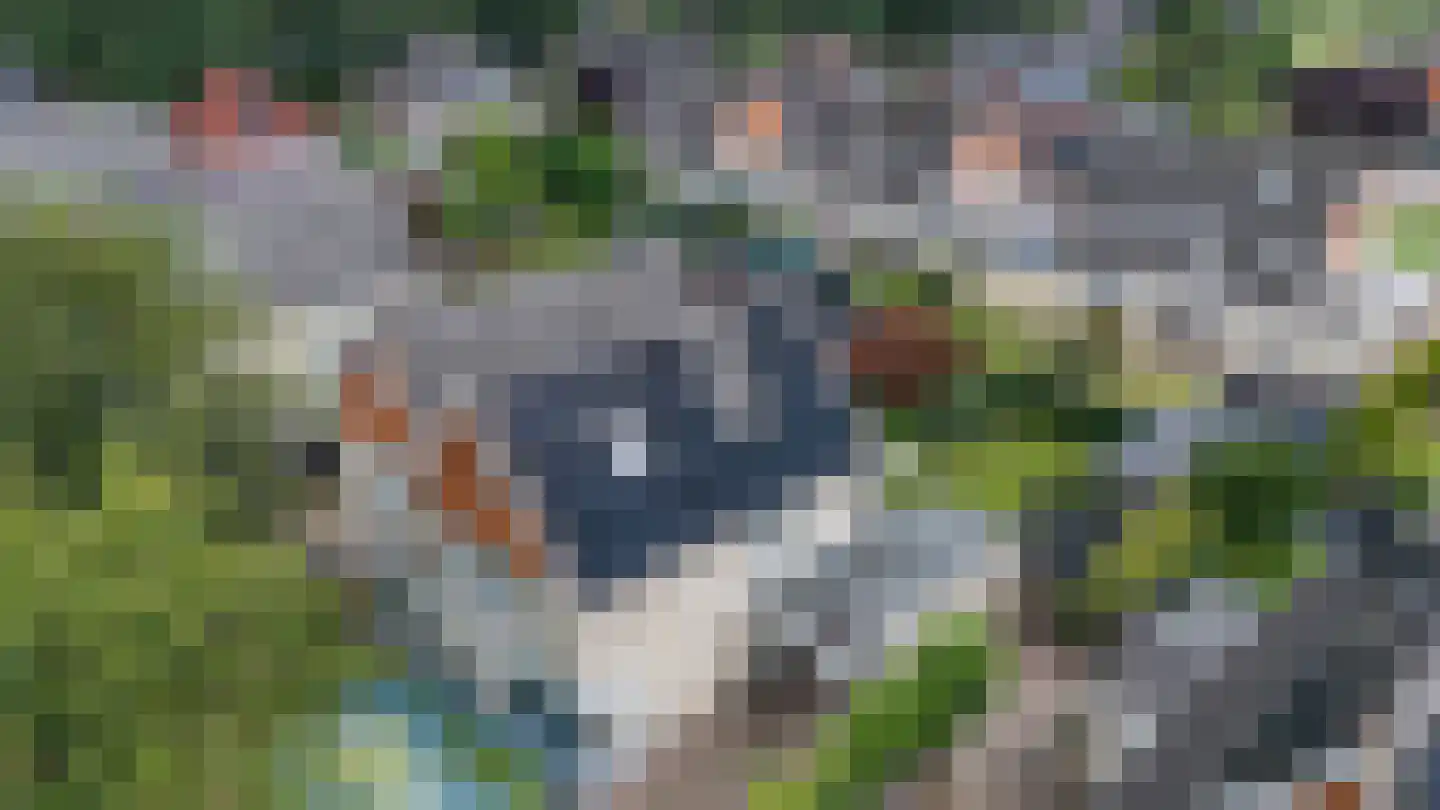 Landschapsweg 13 Veenoord thumbnail 6