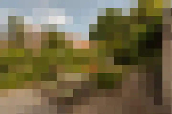 Landscheidingskade 53 Amstelveen thumbnail 18