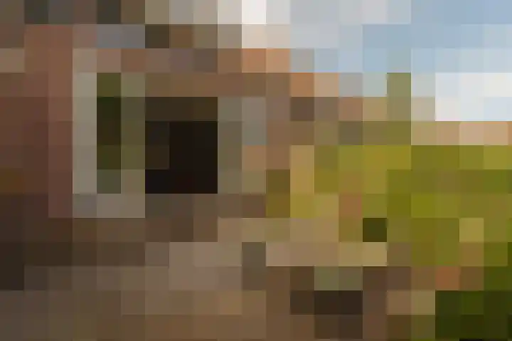 Landscheidingskade 53 Amstelveen thumbnail 20
