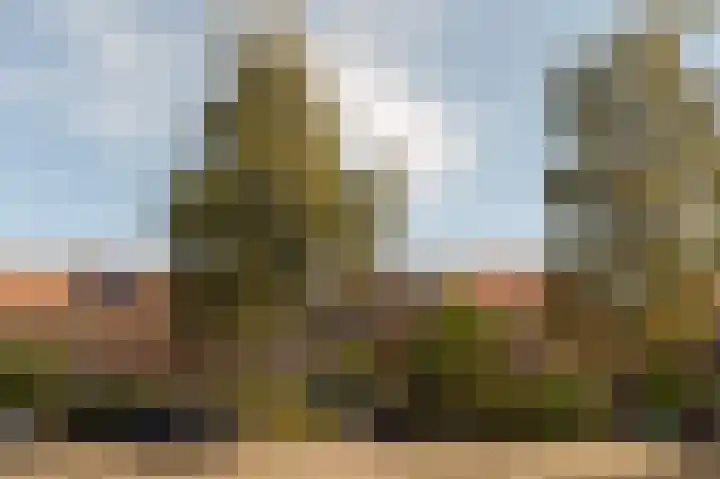 Landscheidingskade 53 Amstelveen thumbnail 4
