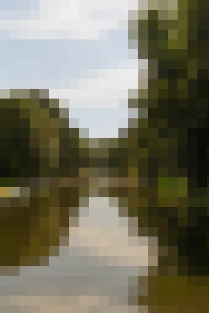 Landscheidingskade 53 Amstelveen thumbnail 41