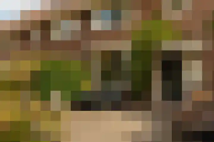 Landscheidingskade 53 Amstelveen thumbnail 5