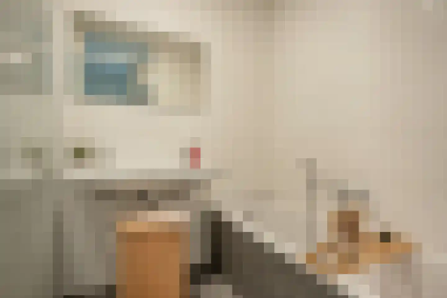 Landscheidingstraat 18 Leidschendam thumbnail 26