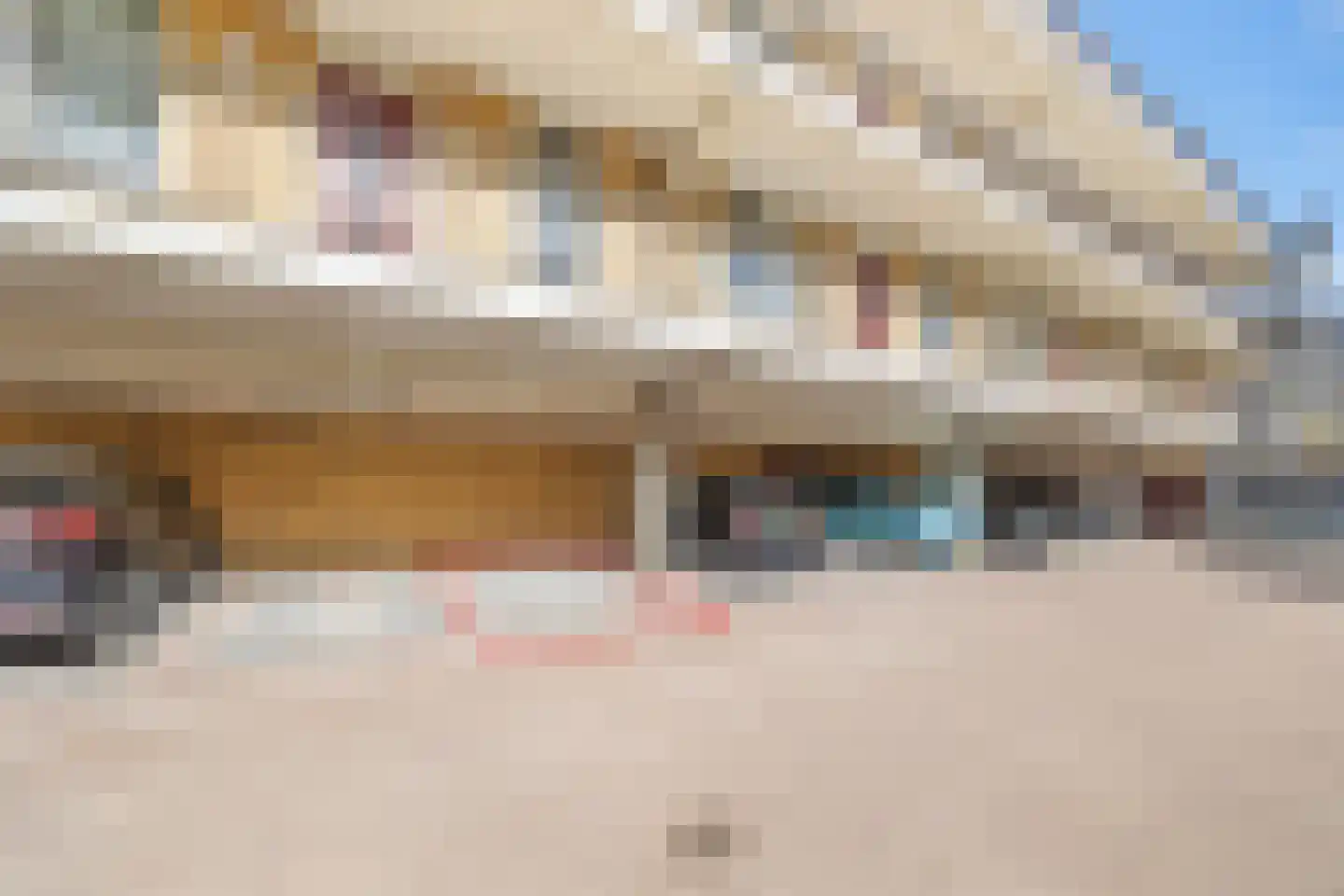 Landscheidingstraat 33 Leidschendam thumbnail 29